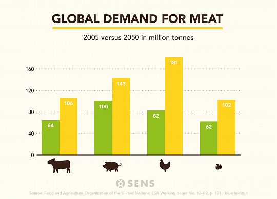 meat-demand-global-2010-2050-global-2-1575666562.jpg