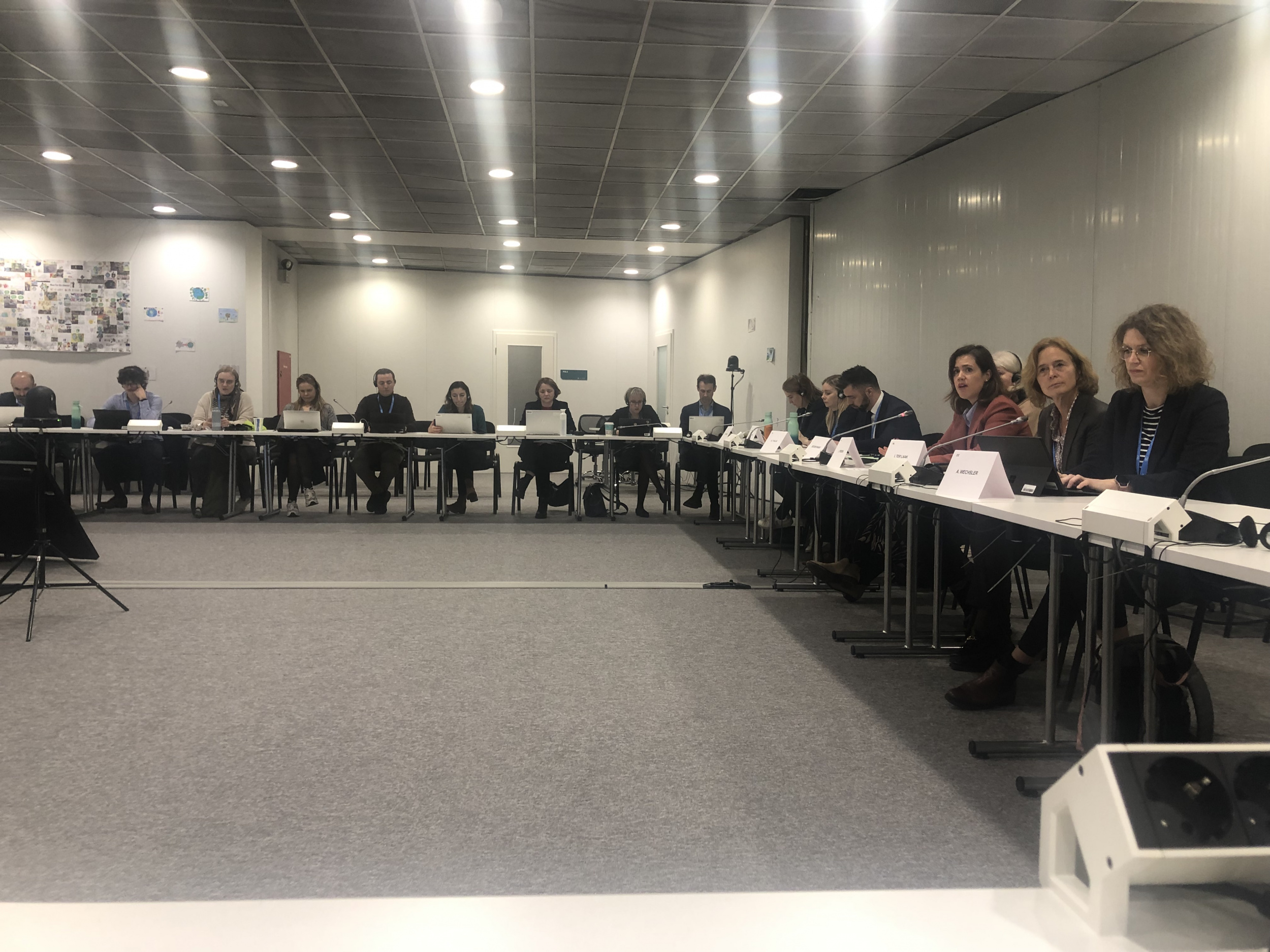EU parliament delegation and CAN EU.jpg