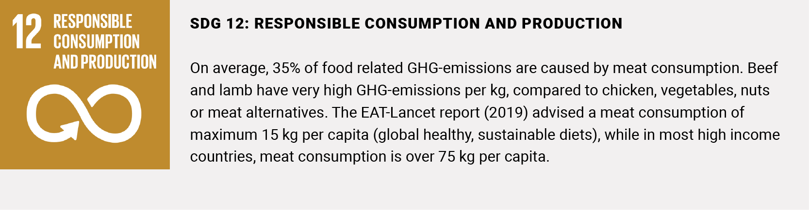 SDG12_ENG.png