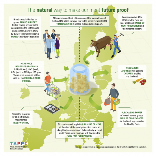 101901001-TAPP-Infographic-Petitie-PNG-ENG-Europa-v2-LR-1706268756.png