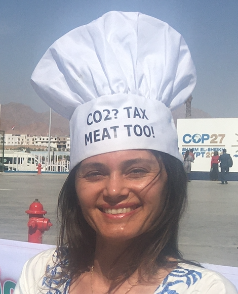 COP27CO2meattax-1668264163.png