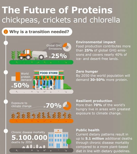 future-of-proteins-WUR-1574066587.jpg